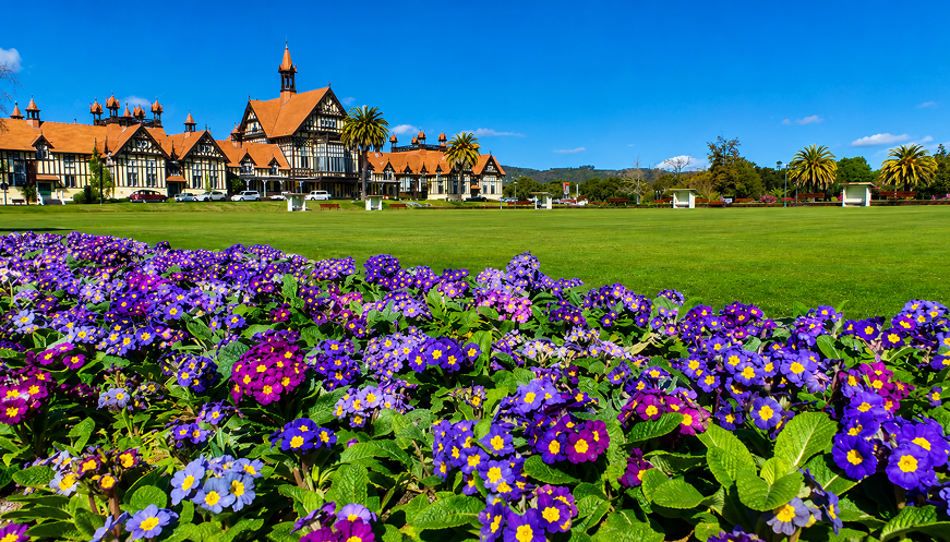 Private 3-Day Auckland Hobbiton Hamilton Rotorua Waitomo tour